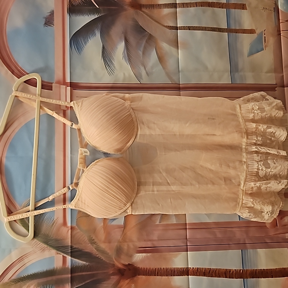 Baby Pink Teddy
